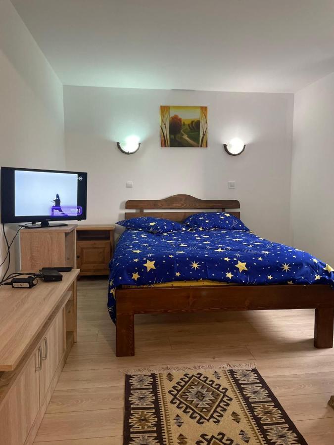 Pensiunea Iza Bradu  Εξωτερικό φωτογραφία