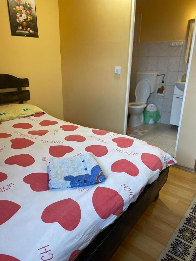 Pensiunea Iza Bradu  Εξωτερικό φωτογραφία